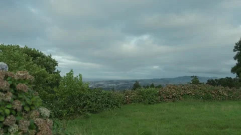 Hydrangea Hedges and Meadow With Distant Coast on Sao Miguel Vídeos de archivo 346480509