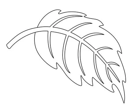 Hydrangea leaf, plant - vector linear picture for coloring. Outline. Stock Illustration