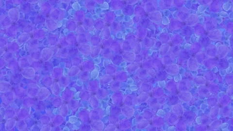 Hydrangea Loop Background Stock Footage 311927969