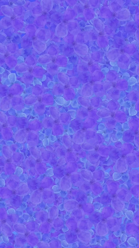 Hydrangea Loop Background Stock Footage 311927975