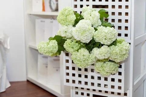 Hydrangea in the night table drawer Stock Photos