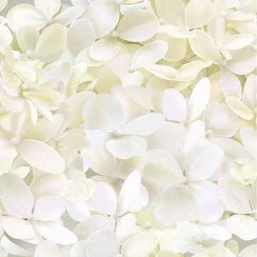 Hydrangea paniculata Limelight seamless pattern Stock Illustration
