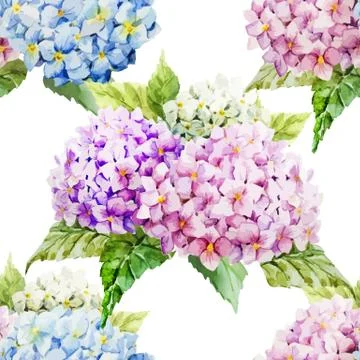 Hydrangea pattern Stock Illustration