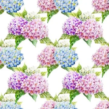 Hydrangea pattern Stock Illustration