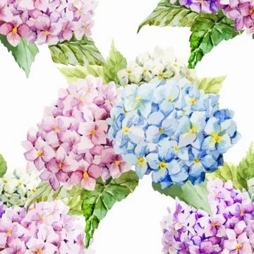 Hydrangea pattern Stock Illustration