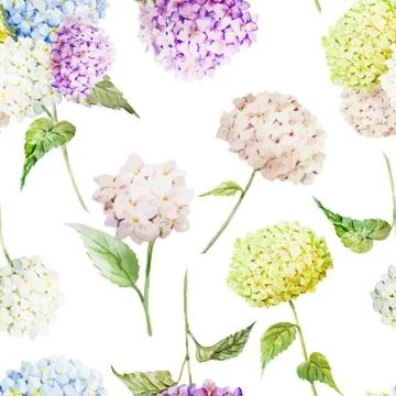 Hydrangea pattern Stock Illustration