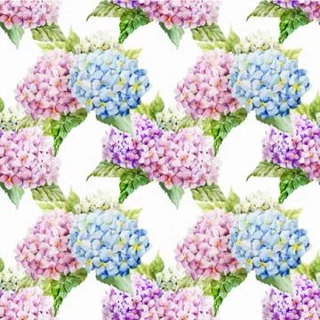 Hydrangea pattern Stock Illustration
