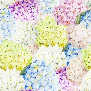 Hydrangea pattern Stock Illustration