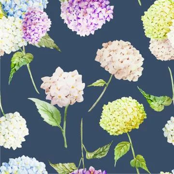 Hydrangea pattern Stock Illustration