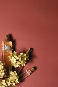 Hydrangea with perfume on a brown background Stock Photos