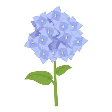 Hydrangea petal icon cartoon vector. Floral blossom 스톡 일러스트