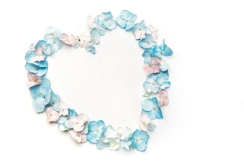 Hydrangea petals forming heart shape on white background Stock Photos