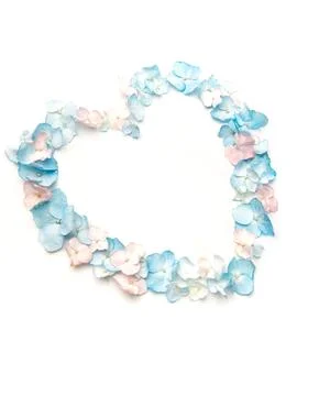 Hydrangea petals forming heart shape on white background Stock Photos