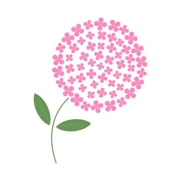 Hydrangea pink flower with leaves Stock Illustration