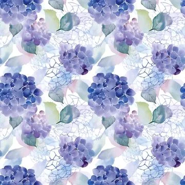 Hydrangea - Seamless Watercolor Pattern Flowers - perfect for wrappers Stock Illustration