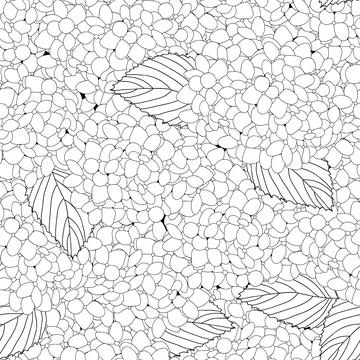 Hydrangea Seamless on White Background Stock Illustration