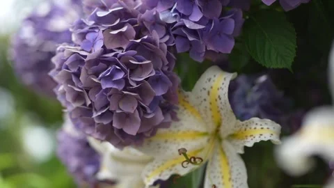 Hydrangeas and mountain lilies swaying in the wind Stock Footage 277523070