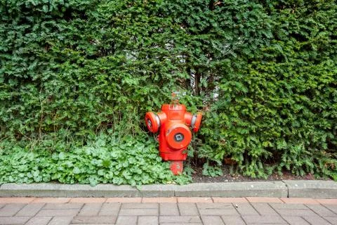Hydrant in the bushes Stock Photos