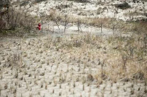 Hydrant in dunes Foto stock