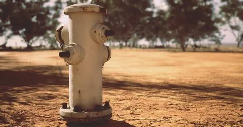 Hydrant located on a dry, dusty ground near trees in a rural area Stock Illustration