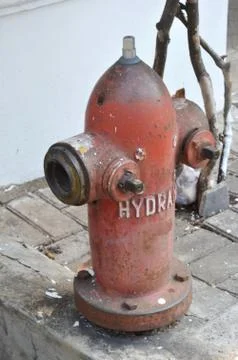 Hydrant Fotos Stock