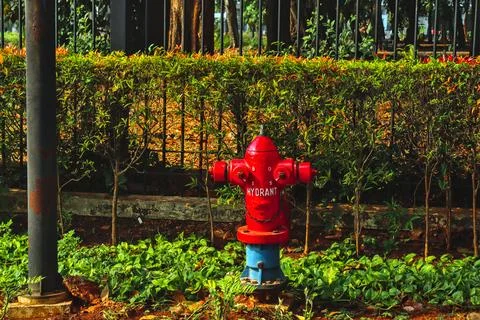 Hydrant Foto stock