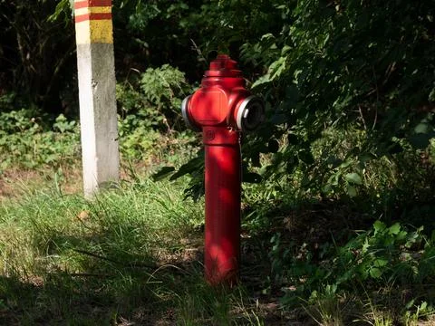 Hydrant standing by forested road in rural area Stock Photos