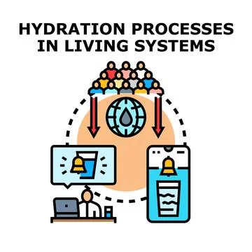 Hydration processes in living systems concept vector Stock Illustration