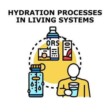 Hydration processes supporting health and well being Stock Illustration