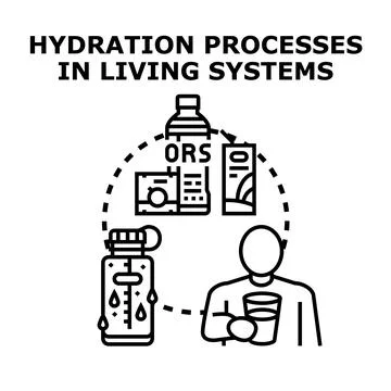 Hydration processes supporting health and well being Stock Illustration