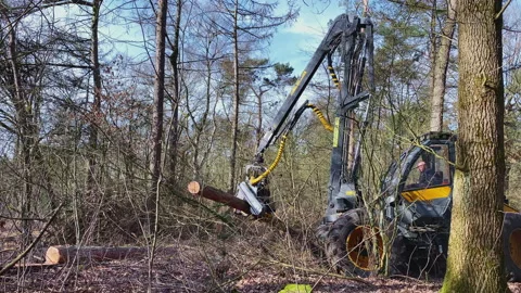 Hydraulic arm and integrated chain saw. Semi automatic tree saw. Stock Footage 217844213