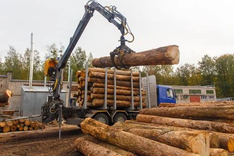 Hydraulic crane loading cut logs onto a timber truck Stock Photos