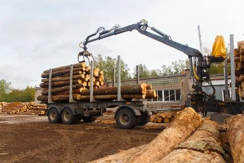 Hydraulic crane loading cut logs onto a timber truck Stock Photos
