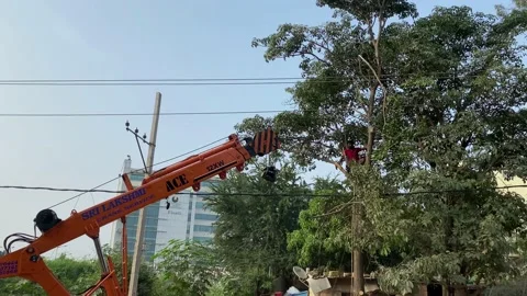 Hydraulic cranes rescue process Video stock 167693635