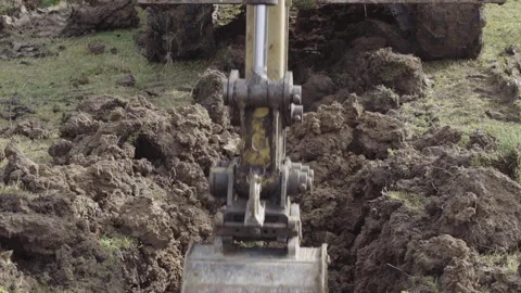 Hydraulic Excavator Loading Earth Stock Footage 295062740