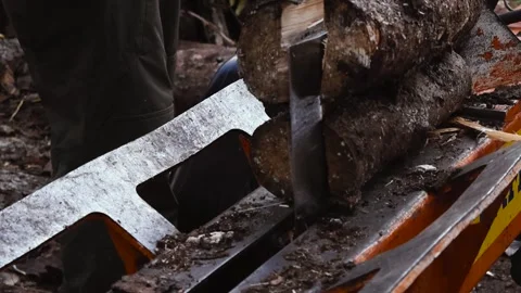 Hydraulic Log Splitter Machine Cutting Firewood Stock Footage 336074231