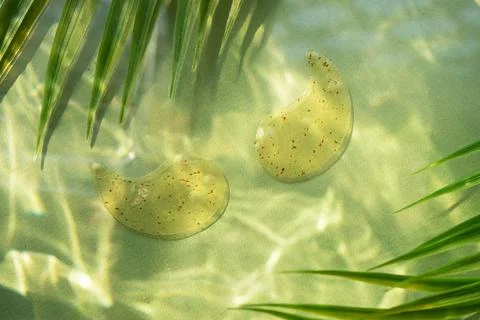 Hydro gel eye patch on green background with palm leaves and water highlights Stock Photos