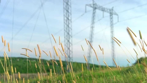 Hydro Power Lines in a Field. Stock Footage 78158723
