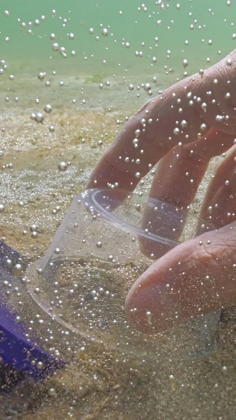 Hydrobiologist taking samples from sandy seabed covered colony of gas-producing Stockbeeldmateriaal 338023608