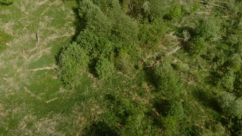 Hydroelectric Power Vidéo 89916487