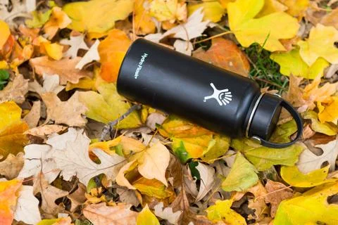 Hydroflaskinleaves Stock Photos