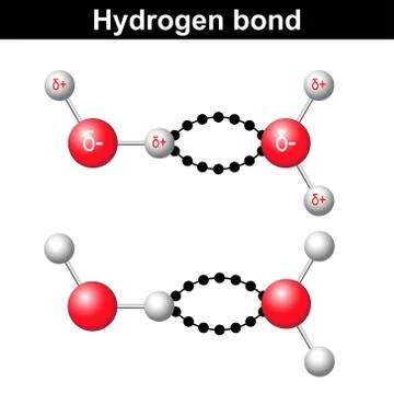 Hydrogen bond, chemical ionic interaction Stock Illustration