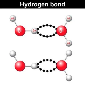 Hydrogen bond, chemical ionic interaction Stock Illustration