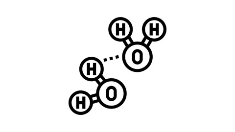 Hydrogen bonding biochemistry line icon animation Stock Footage 326134865