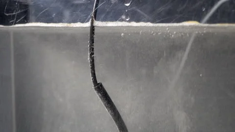 Hydrogen bubbles rise to service of electrolytic bath. Stock Footage 319628004
