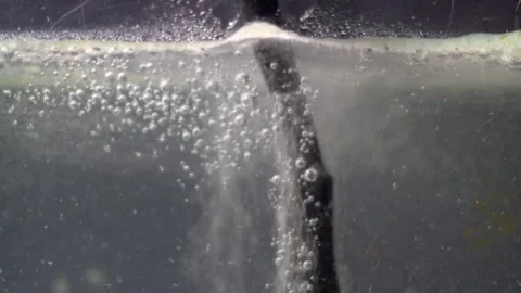 Hydrogen bubbles rise to the top of an electrolytic bath. Vidéo 321352211