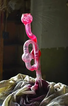 Hydrolock operation in the process of fermentation of young wine Stock Photos