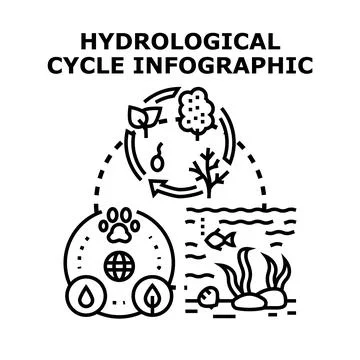 Hydrological cycle diagram with water ecosystem elements 스톡 일러스트