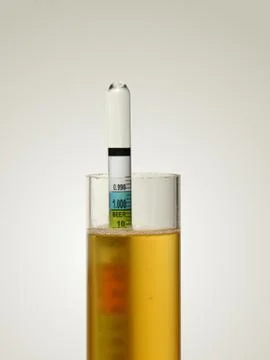 Hydrometer in Homebrew Stock Photos