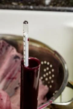 A hydrometer is used to check the specific gravity at this point in the ferme Stock Photos